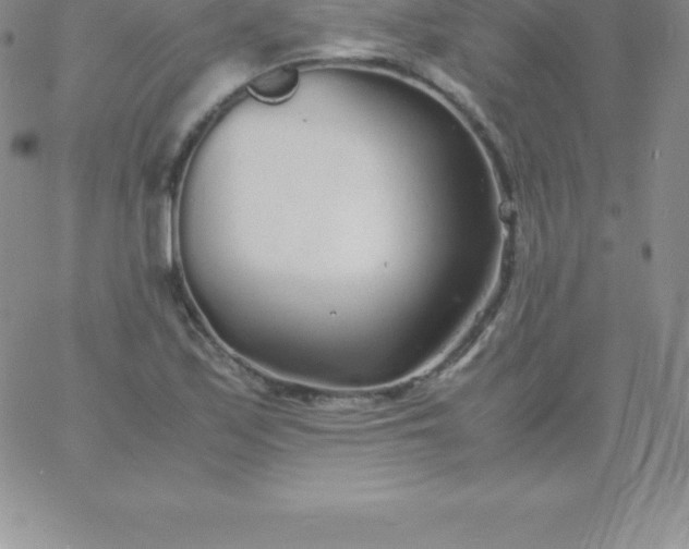 X0000060751171200511241656