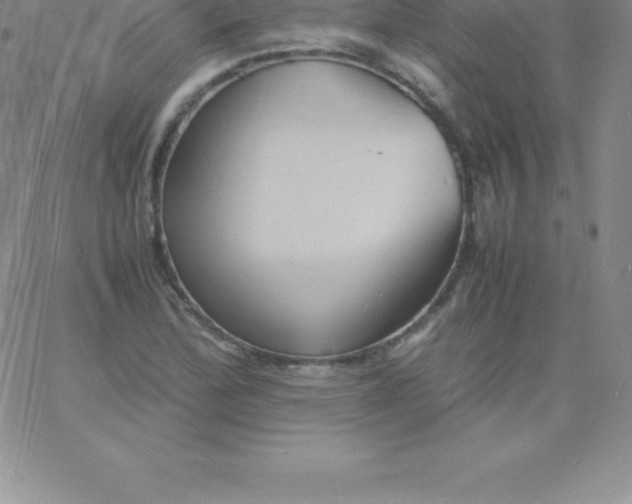 X0000060751172200511241656