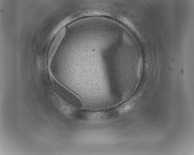 X0000060751173200511241656