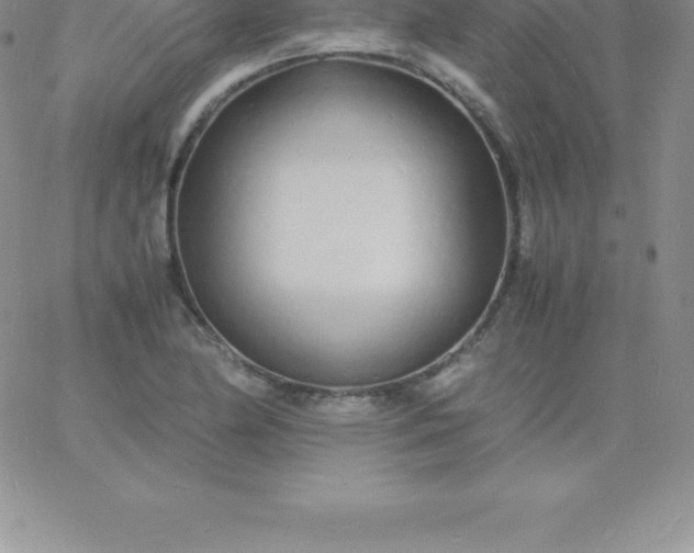 X0000060751174200511241656