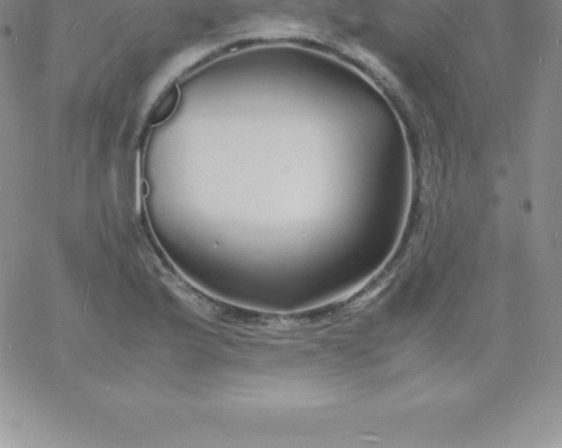 X0000060751175200511241656