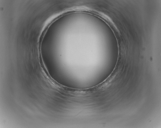 X0000060751176200511241655