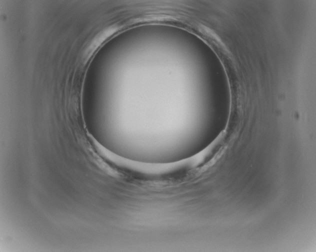 X0000060751177200511241655