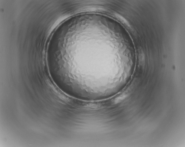 X0000060751178200511241655