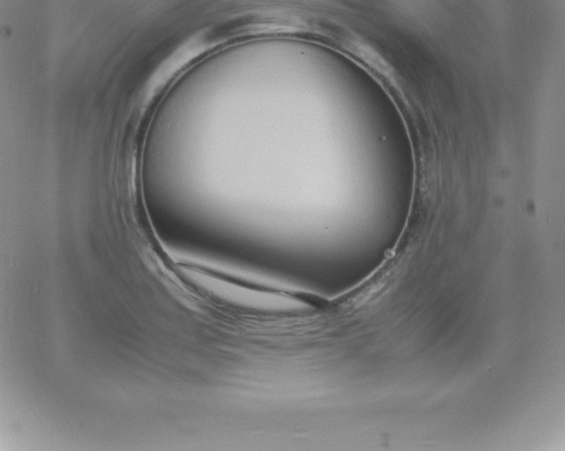 X0000060751179200511241655