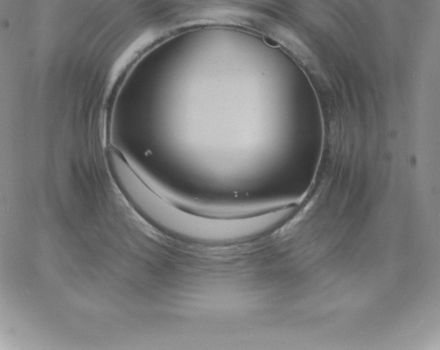 X0000060751180200511241655