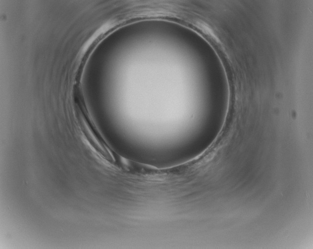 X0000060751181200511241655