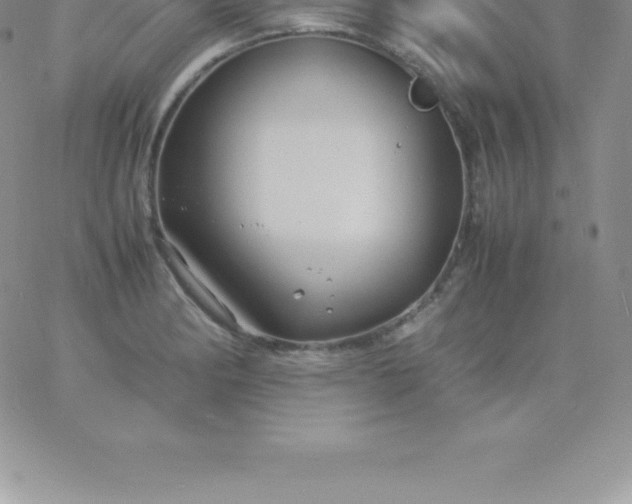 X0000060751182200511241655