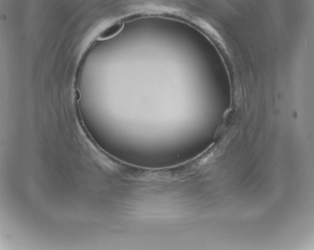 X0000060751183200511241655