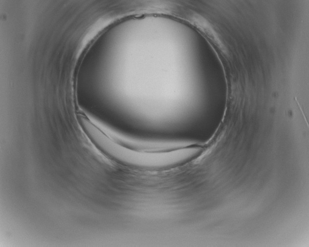 X0000060751184200511241655