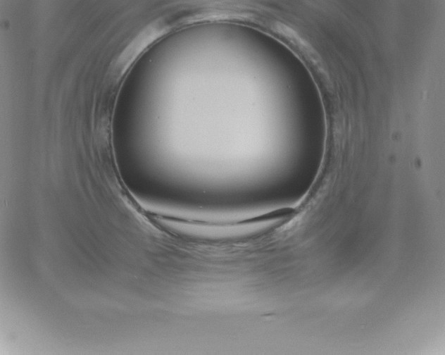 X0000060751185200511241655