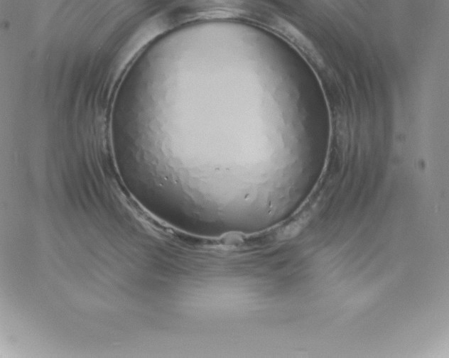 X0000060751186200511241655