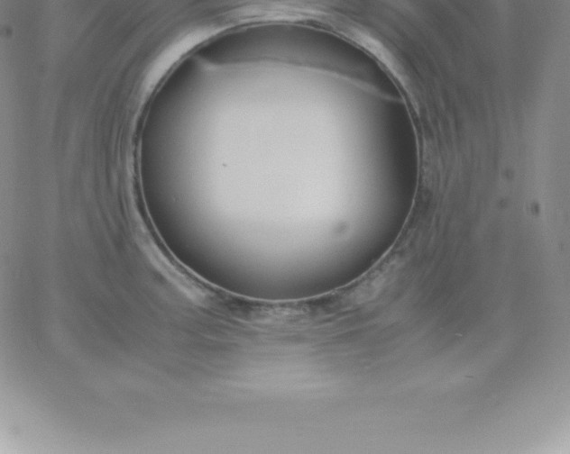 X0000060751187200511241655