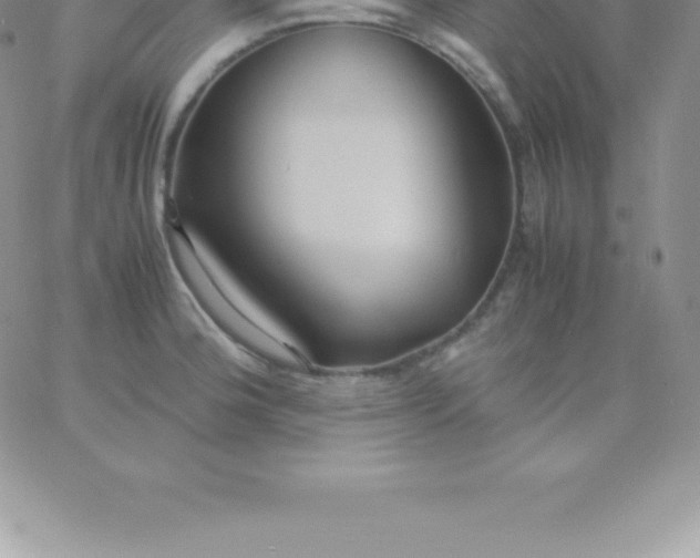 X0000060751188200511241655