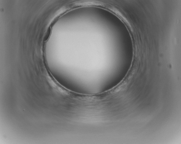 X0000060751189200511241655