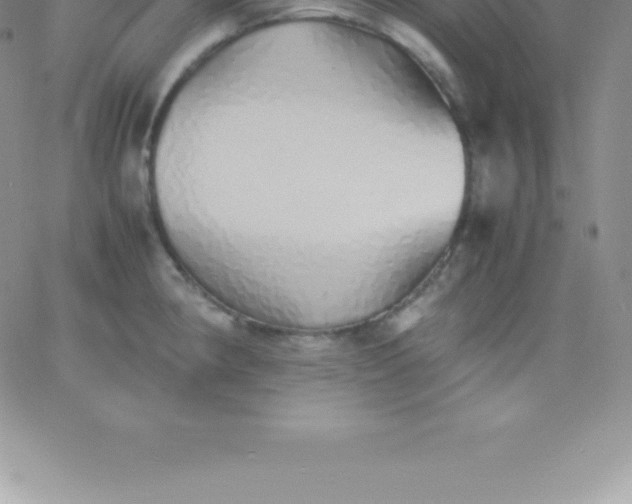 X0000060751190200511241655