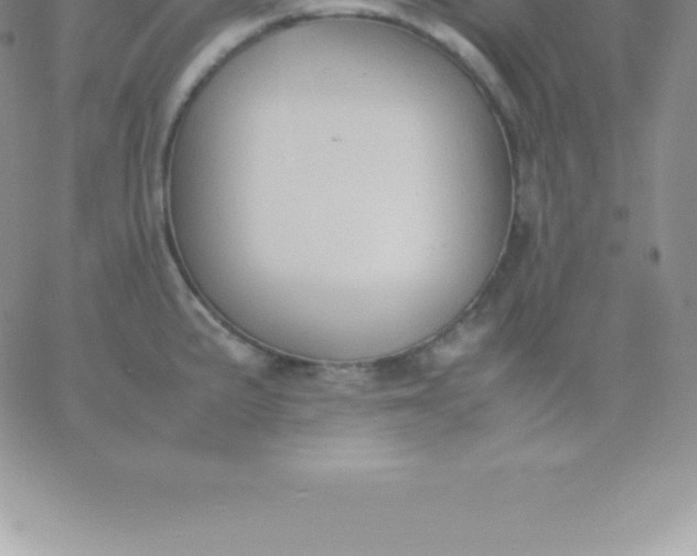 X0000060751191200511241655