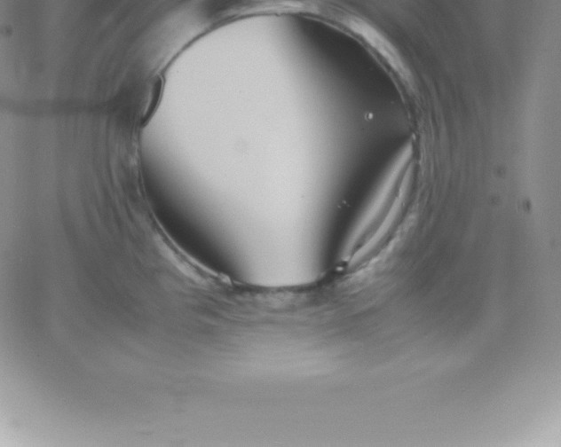 X0000060751193200511241655