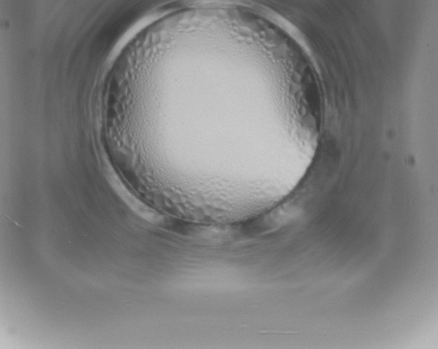 X0000060751195200511241655