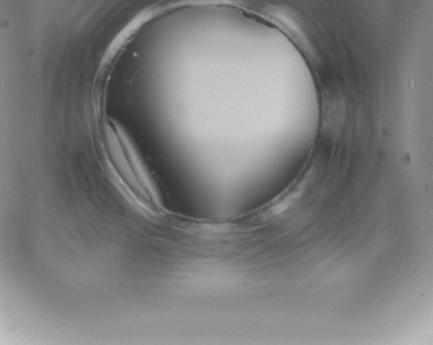 X0000060751196200511241655