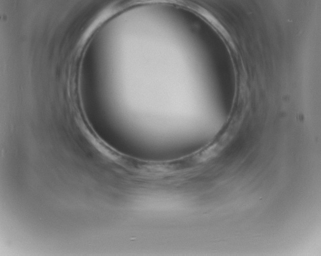 X0000060751197200511241655