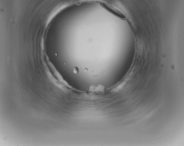 X0000060751198200511241655