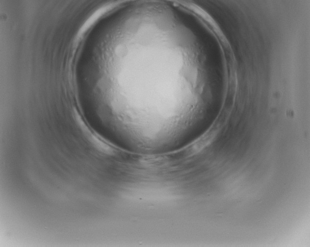 X0000060751199200511241655