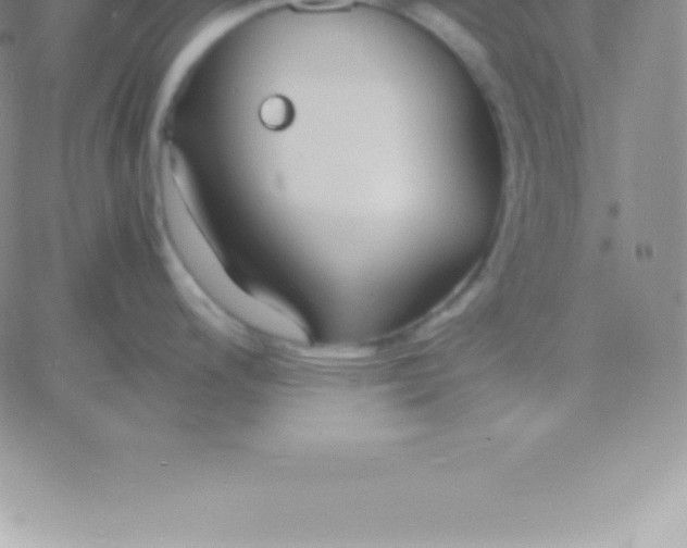 X0000060751200200511241655