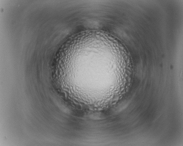 X0000060751201200511241654