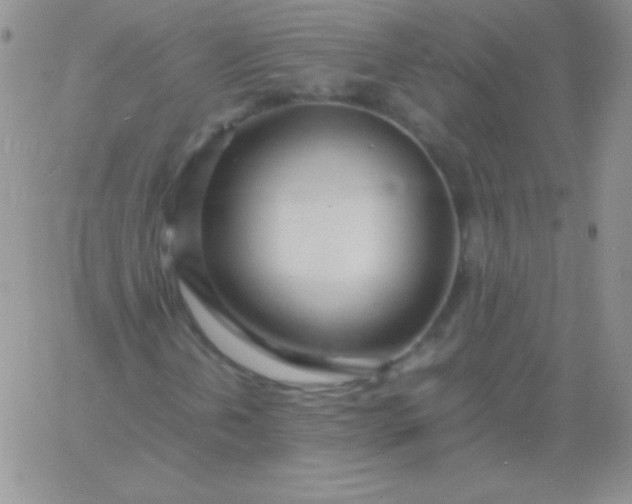 X0000060751202200511241654