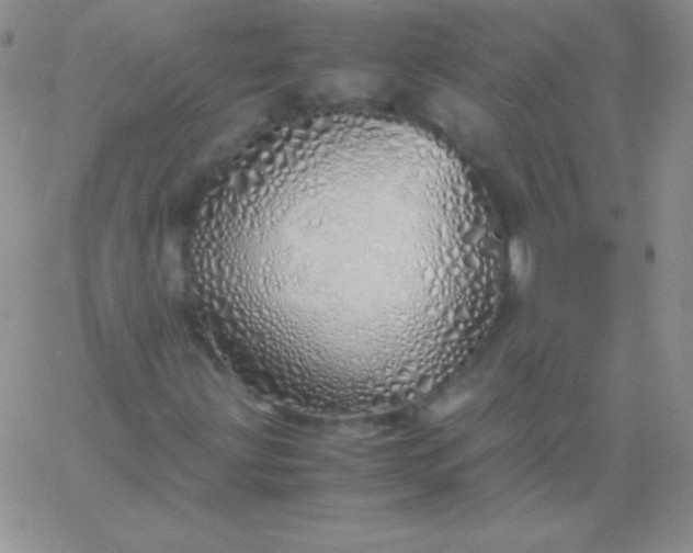 X0000060751203200511241654