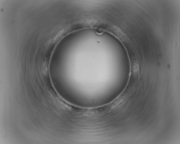 X0000060751204200511241654