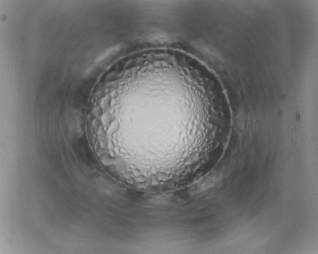 X0000060751205200511241654