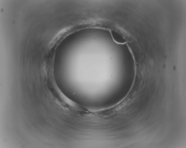 X0000060751206200511241654