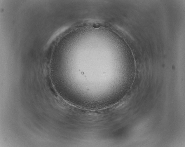 X0000060751207200511241654