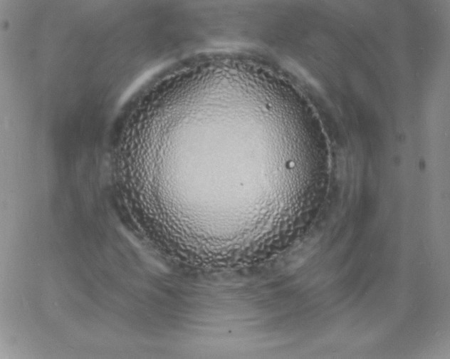 X0000060751208200511241654