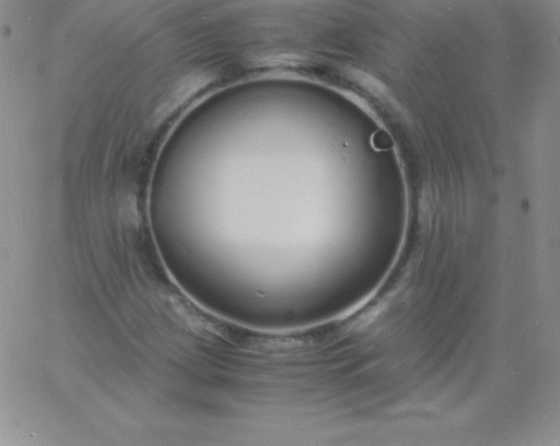 X0000060751209200511241654