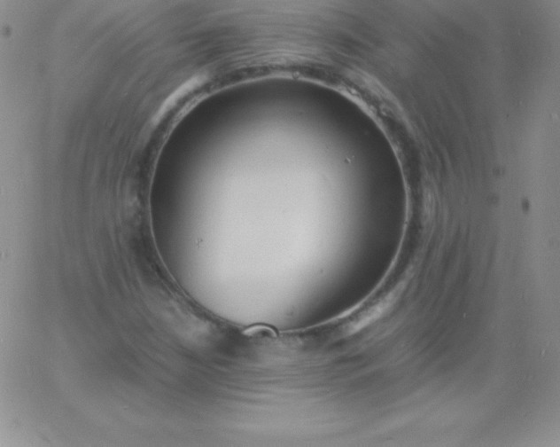 X0000060751210200511241654