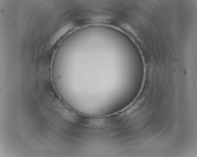 X0000060751211200511241654