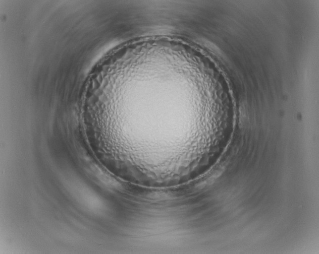 X0000060751212200511241655