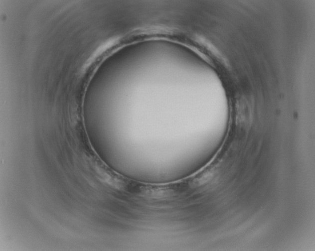 X0000060751213200511241655