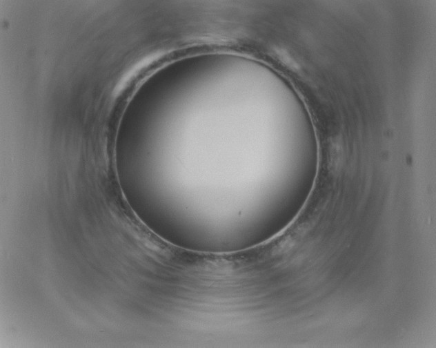 X0000060751214200511241655