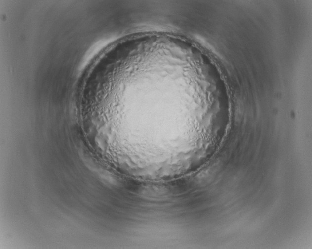 X0000060751215200511241655