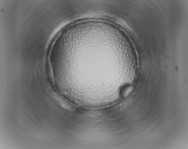 X0000060751216200511241655