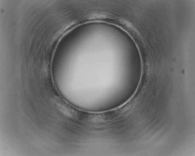 X0000060751217200511241655