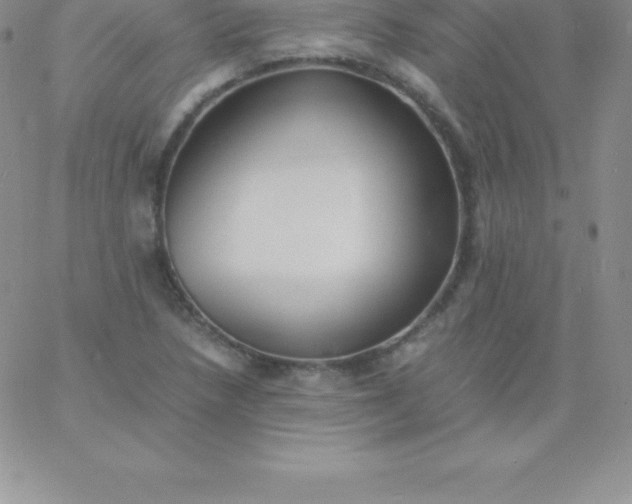 X0000060751218200511241655