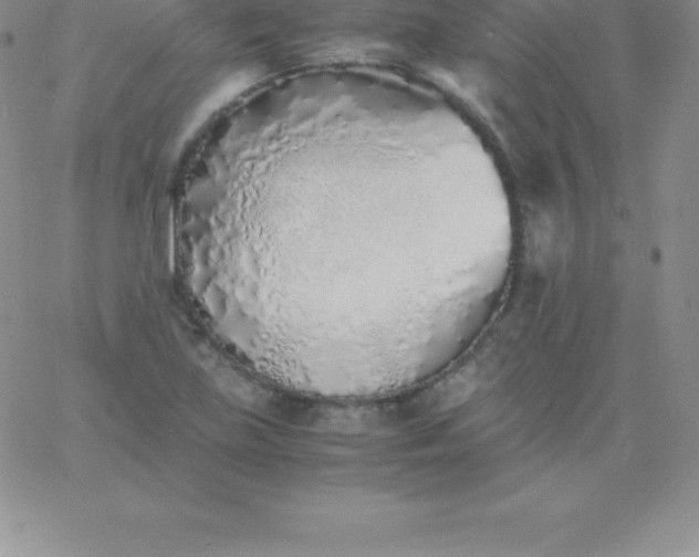 X0000060751219200511241655