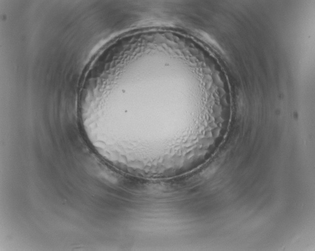 X0000060751220200511241655