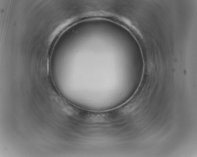 X0000060751221200511241655