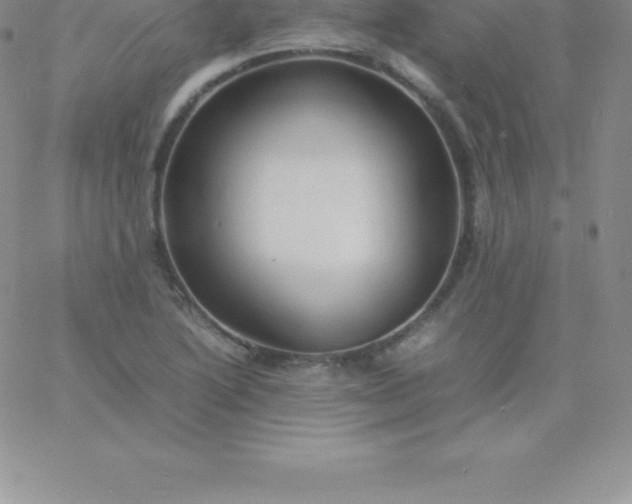 X0000060751222200511241655